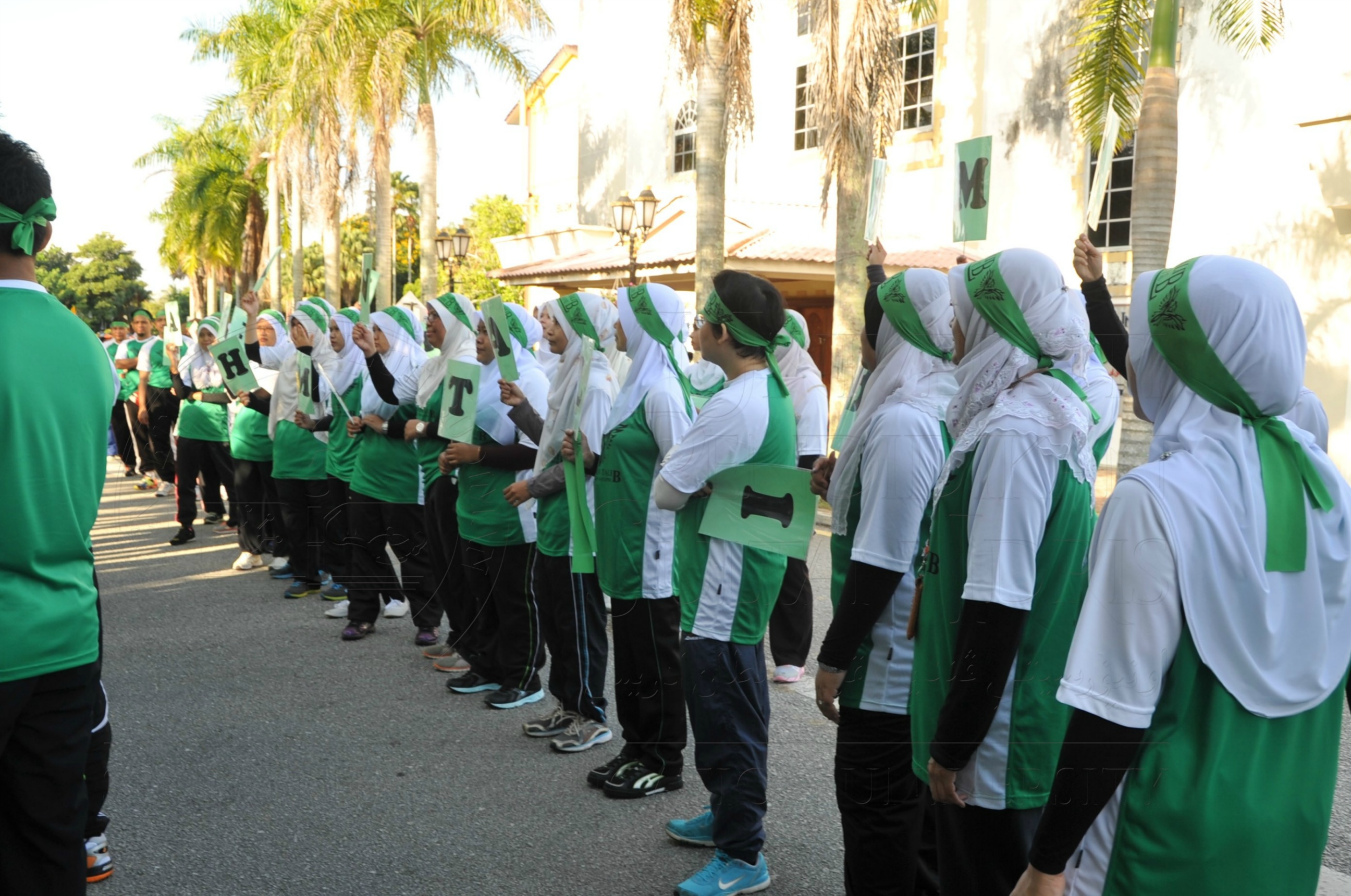 PRO 15 53 KIESTA HAS 3453